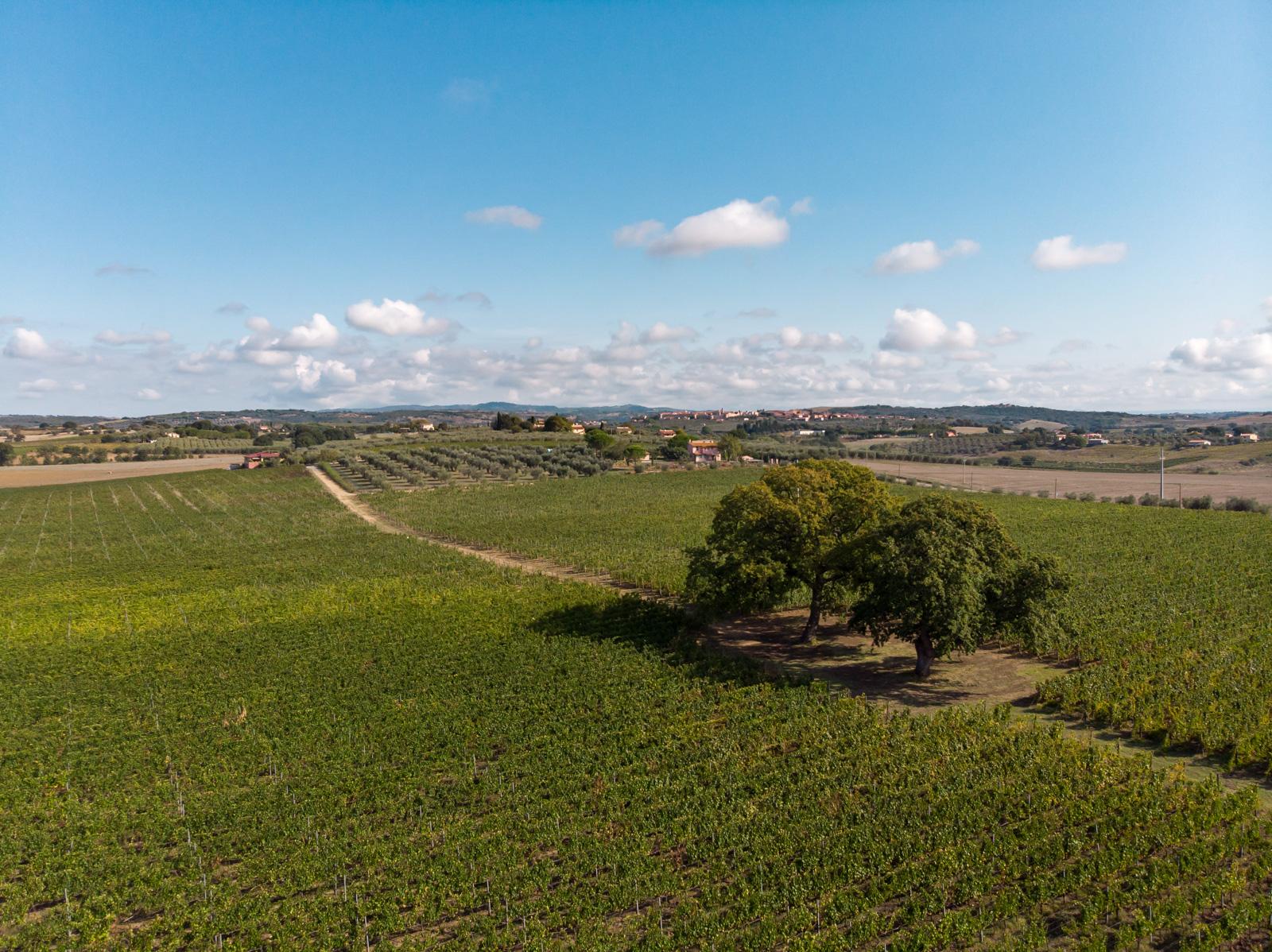 Paesaggio di Querciarossa